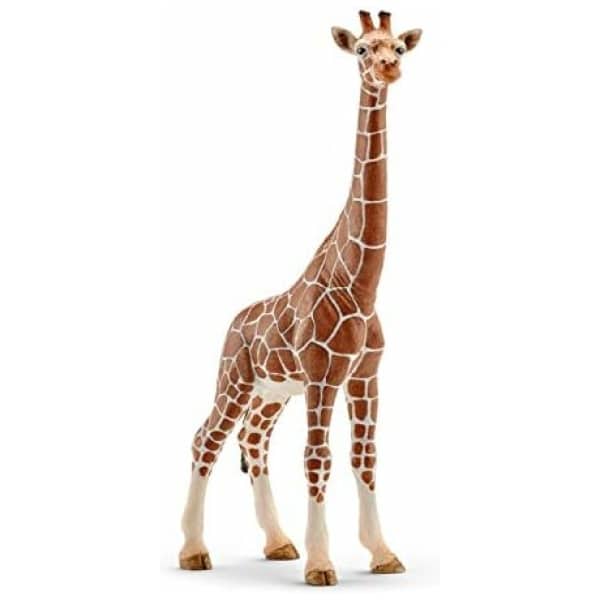 animal schleich